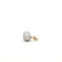 Aretes de Perla biwa