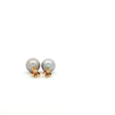 Aretes de Perla biwa