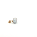 Aretes de Perla biwa